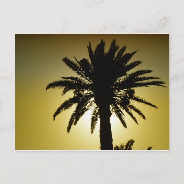 Cartão Postal Sous les palmiers (Frente)