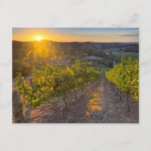 Cartão Postal South Australia, Adelaide Hills, Summertown.