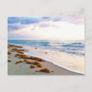 Cartão Postal South Beach Miami