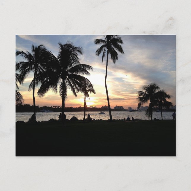 Cartão Postal South Beach, Miami Palm Trees no Sunset Postcard (Frente)