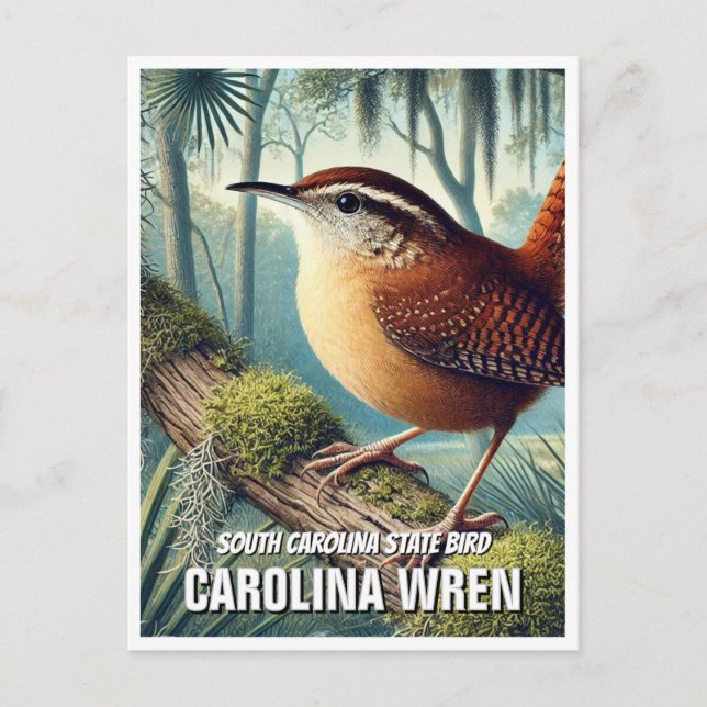 Cartão Postal South Carolina State Bird Carolina Wren (Frente)