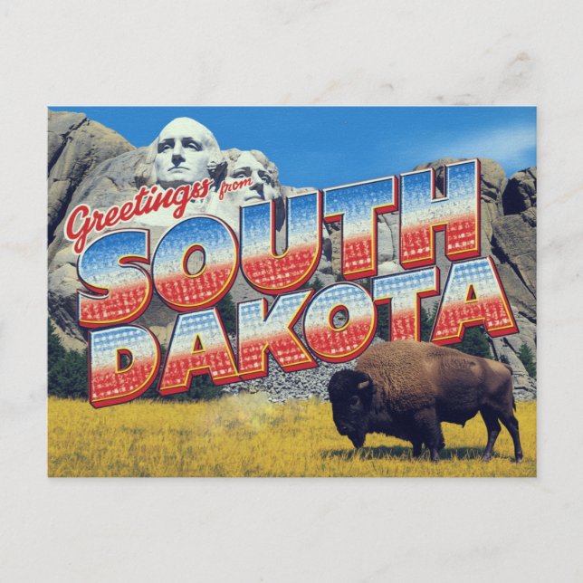Cartão Postal South Dakota Mount Rushmore Bison (Frente)
