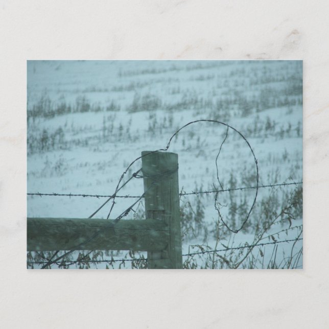 Cartão Postal South Dakota Snowstorm (Frente)