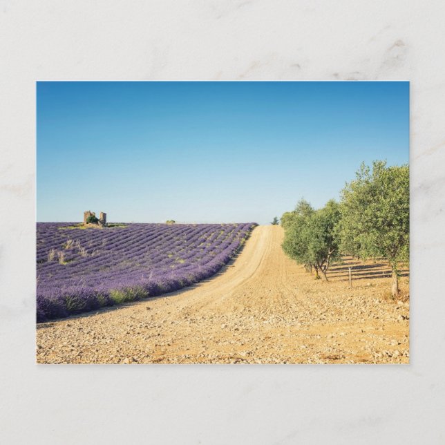 Cartão Postal South of France (Frente)