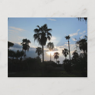 Cartão Postal South TX postcard