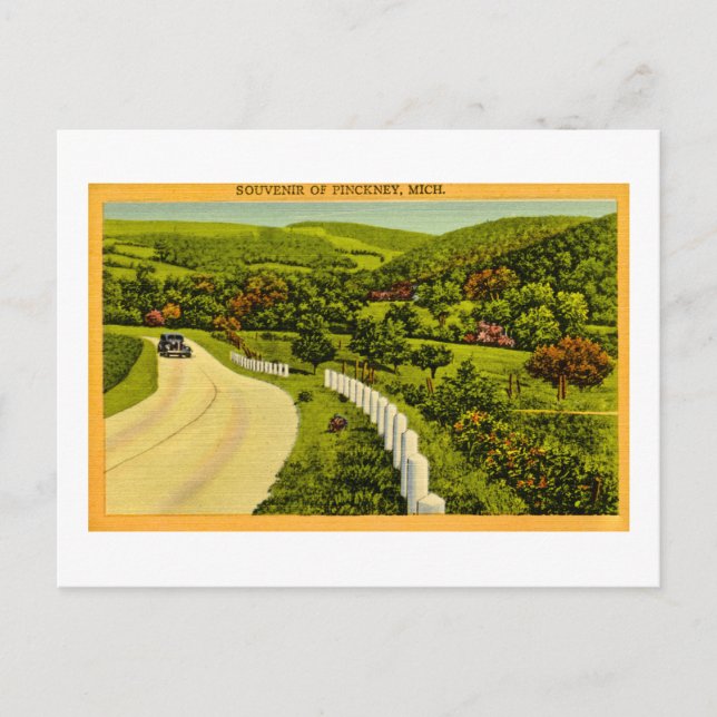 Cartão Postal Souvenir de Pickney, MI Vintage (Frente)
