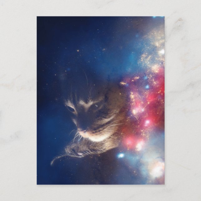 Cartão Postal Space Cat Galaxy (Frente)