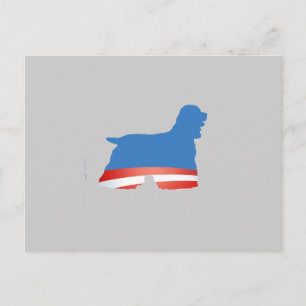 CARTÃO POSTAL SPANIEL BARACKER