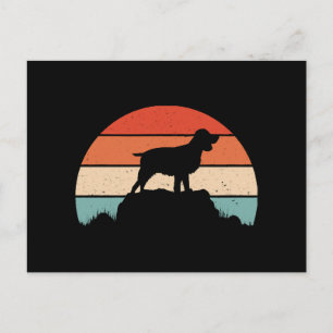 Cartão Postal Spaniel de springer em inglês