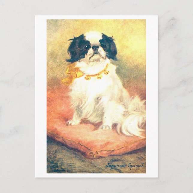Cartão Postal Spaniel Japonês Antigo (Frente)
