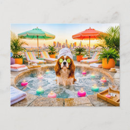 Cartão Postal Spaniel na piscina de bem-estar