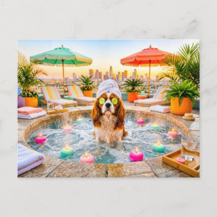 Cartão Postal Spaniel na piscina de bem-estar