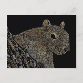 Cartão Postal Sparkie, o Esquilo