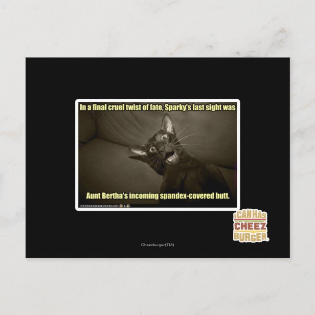 Cartão Postal Sparky's last sight (Frente)