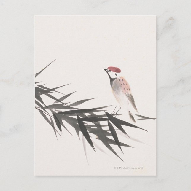 Cartão Postal Sparrow e Folhas de Bambu (Frente)