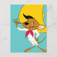 SPEEDY GONZALES™ Mustache