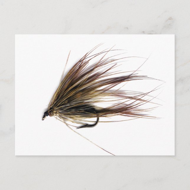 Cartão Postal Spey Fly (Frente)