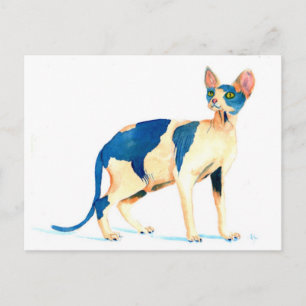 Cartão Postal Sphynx Cat 5