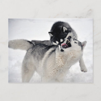 Cartão Postal spielodernst