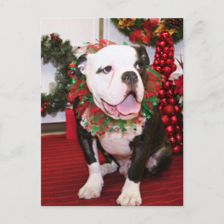 Cartão Postal Spike - English Bulldog - Kahley