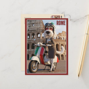 Cartão Postal Spinone Italiano Roma