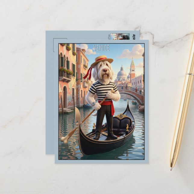 Cartão Postal Spinone Italiano Veneza (Frente/Verso In Situ)