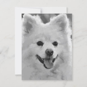 Cartão Postal Spitz Japonês
