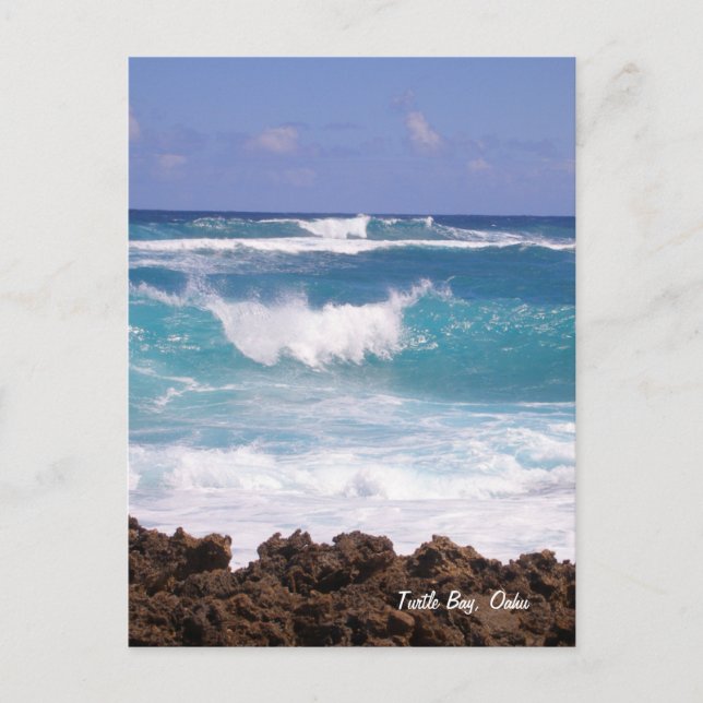 Cartão Postal Splish Splash (Frente)