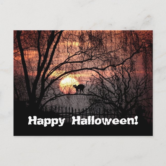 Cartão Postal Spooky Halloween (Frente)