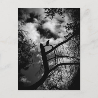 Cartão Postal Spooky Raven na árvore