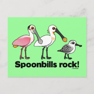 Cartão Postal "Spoonbill Rock"!