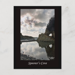 Cartão Postal Spooner's Cove California