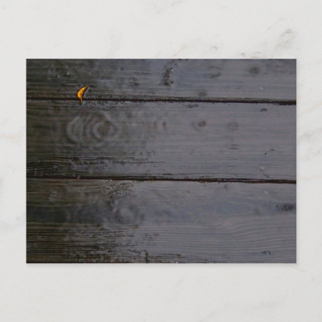 Cartão postal "Spot of Color" (Frente)