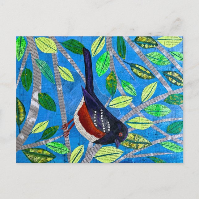 Cartão Postal Spotted Towhere (Frente)