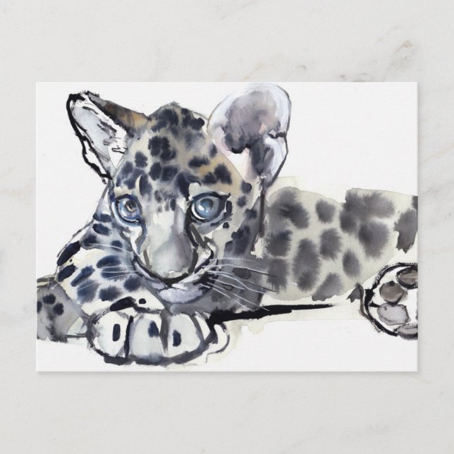 Cartão Postal Spotty (Frente)