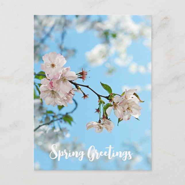 Cartão Postal Spring Is in the Air -  (Frente)