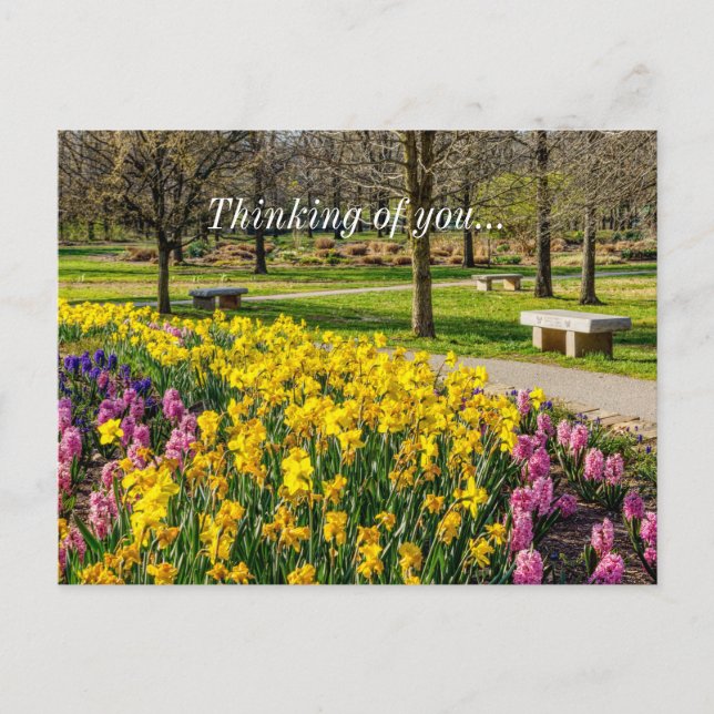 Cartão Postal Spring Season Flower Garden Thinking Of You (Frente)