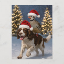 Springer Spaniel and Partridge Christmas postcard