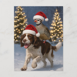Cartão Postal Springer Spaniel and Partridge Christmas postcard