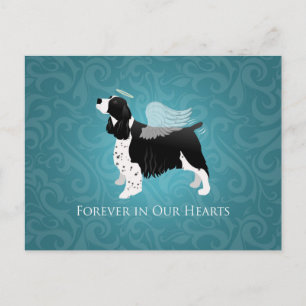 Cartão Postal Springer Spaniel Angel Dog Pet Memorial Design