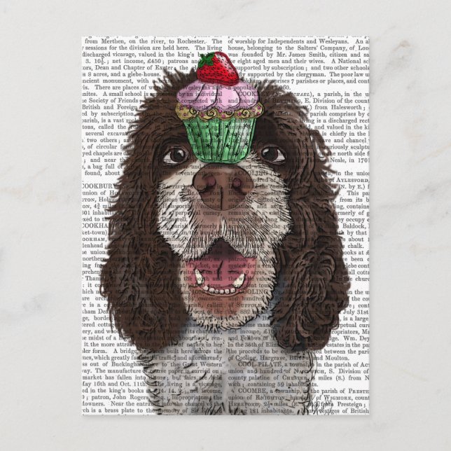 Cartão Postal Springer Spaniel com Cupcake (Frente)