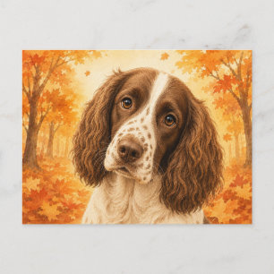 Cartão Postal Springer Spaniel Floresta de Outono Cachorro