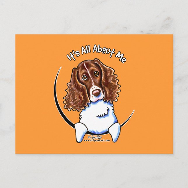 Cartão Postal Springer Spaniel IAAM (Frente)