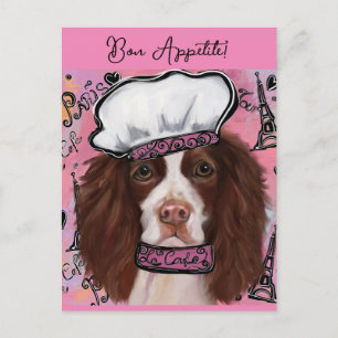 Cartão Postal Springer Spaniel Inglês