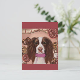 Cartão Postal Springer Spaniel Inglês