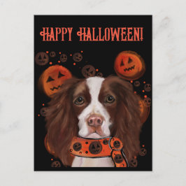 Cartão Postal Springer Spaniel Inglês