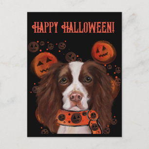 Cartão Postal Springer Spaniel Inglês