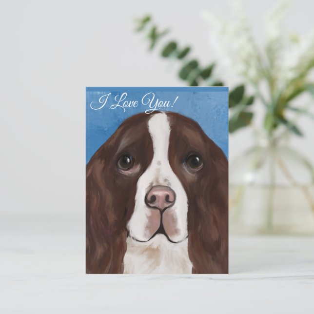 CARTÃO POSTAL SPRINGER SPANIEL INGLÊS    (Em pé/Frente)