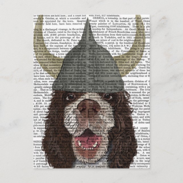 Cartão Postal Springer Spaniel Viking (Frente)
