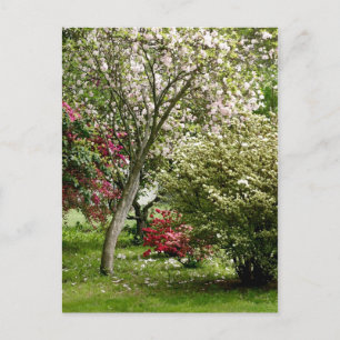 Cartão Postal Springtime
